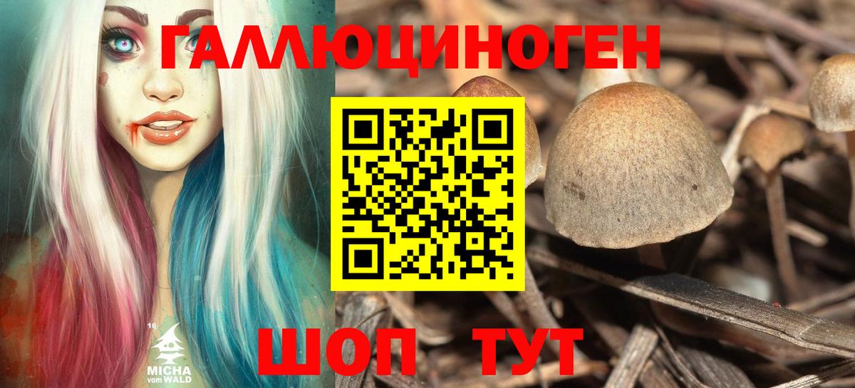 Галлюциногенные грибы MAGIC MUSHROOMS  Вход с VPN  Семилуки 